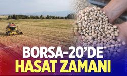 Borsa-20’de Hasat Başarıyla Gerçekleştirildi