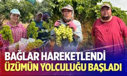 Buldan'da üzümün yolculuğu başladı