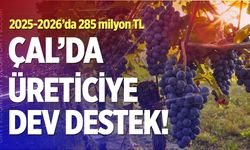 Çal’da Üreticilere devam destek