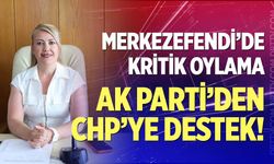 Ak Parti’den CHP’ye Destek
