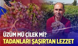 Üzümün içinden çilek tadı çıktı