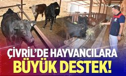 Çivril'de hayvancılara büyük destek!