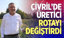 Çivril’de elma bahçeleri tütün tarlalarına dönüşüyor