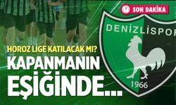 Denizlispor yeni sezonda liglerde boy gösterecek mi? İşte yanıtı...