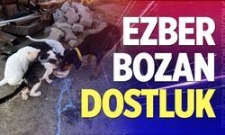 Buldan'da yürek ısıtan dostluk