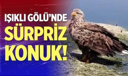 Çivril’de nilüfer turunun sürprizi