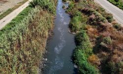 Kanallardaki mikroplastikler, Akdeniz’e ilerliyor