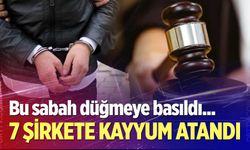 7 şirkete kayyum atandı