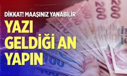 'Maaşınız yanabilir' uyarısı geldi