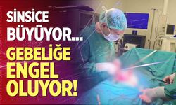 Sinsice büyüyor, gebeliğe engel oluyor!