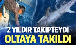Fransızların 2 yıldır takip ettiği orkinos Türk iş adamının oltasına takıldı