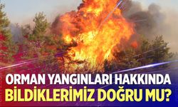 Her Yangından Sonra Gündeme Geliyor! Gerçek Payı Var mı?