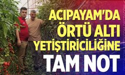 Denizli'den örnek tarım hamlesi: Örtü altı yetiştiriciliğine tam not