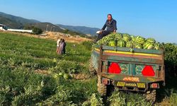 Sarıgöllü üreticiden "Kendi üret, kendi sat" hamlesi