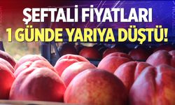Şeftali fiyatları 1 günde yarıya düştü