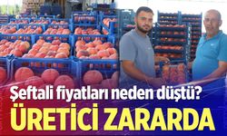 Şeftali fiyatları neden düştü?