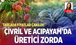 Denizli’de tarım alarmda! Şeftali ve karpuz üreticisi darda
