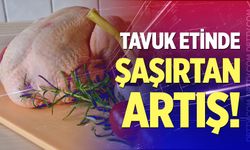 Tavuk etinde şaşırtan artış!