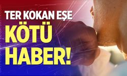 Ter kokan eşe kötü haber