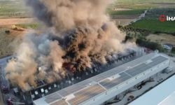 Alevler yumurta üretim tesisini küle çevirdi