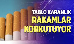 Türkiye sigara tüketiminde dünya birincisi