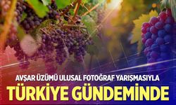 Avşar’ın 800 yıllık mirası Türkiye gündeminde