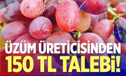Üzüm Üreticisinden 150 TL Talebi