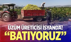 Üzüm üreticisi sezona dertli girdi