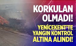 Korkulan olmadı, yangın kontrol altına alındı!
