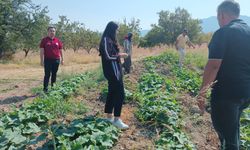 Baklan Ovası’nda hasat telâşı: Kaymakam Yerlikaya üreticilerle buluştu