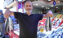 Yıllardır böylesi görülmedi: Karadeniz’den palamut fışkırıyor