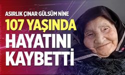 Asırlık çınar 107 yaşında hayatını kaybetti