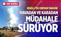 Bekilli'de orman yangını: Havadan ve karadan müdahale sürüyor