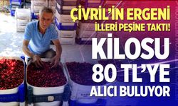 Çivril’in ergeni illeri peşine taktı! Kilosu 80 tl’ye alıcı buluyor