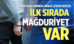 Çocuk olaylarında dikkat çeken gerçek: İlk sırada mağduriyet var