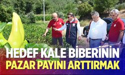 Hedef Kale Biberinin Pazar Payını Arttırmak