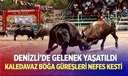 Kaledavaz Boğa Güreşleri nefes kesti