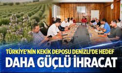 Türkiye'nin kekik deposu Denizli'de hedef: Daha güçlü ihracat