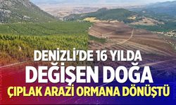 Denizli'de 16 yılda değişen doğa