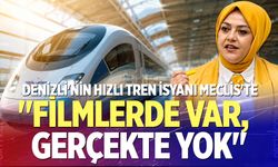 Denizli'nin hızlı tren isyanı meclis'te: "Filmlerde Var, Gerçekte Yok"