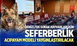 Denizli’de sokak hayvanları için seferberlik
