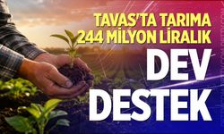 Tavas'ta tarıma 244 milyon liralık dev destek