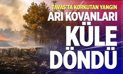 Tavas’ta korkutan yangın: Arı kovanları küle döndü