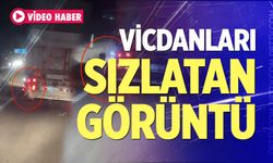 Köpeği kamyonetin arkasına bağlayıp sürükledi