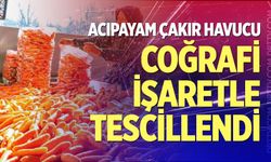 Acıpayam Çakır Havucu Coğrafi İşaretle Tescillendi