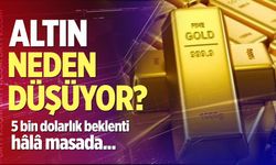 Altın neden düşüyor?