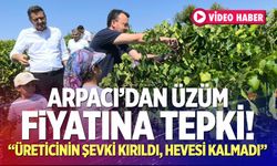 Arpacı’dan üzüm fiyatına tepki: “Üreticinin şevki kırıldı, hevesi kalmadı”