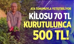 Beyağaç ateşinin tarladan sofraya yolculuğu başladı