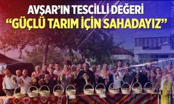 Avşar Üzümü’nde tescilin ardından ilk hasat