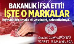 Bakanlık o markaları ifşa etti: Kıymada tek tırnaklı eti ve sakatat, baharatta boya kullanmışlar!